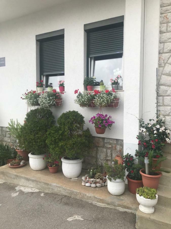 Apartments Porat Novi Vinodolski Ngoại thất bức ảnh